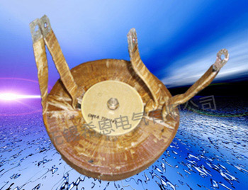 环型蜜桃视频传媒入口